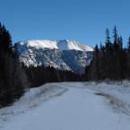 Near Town of Canmore
 /   